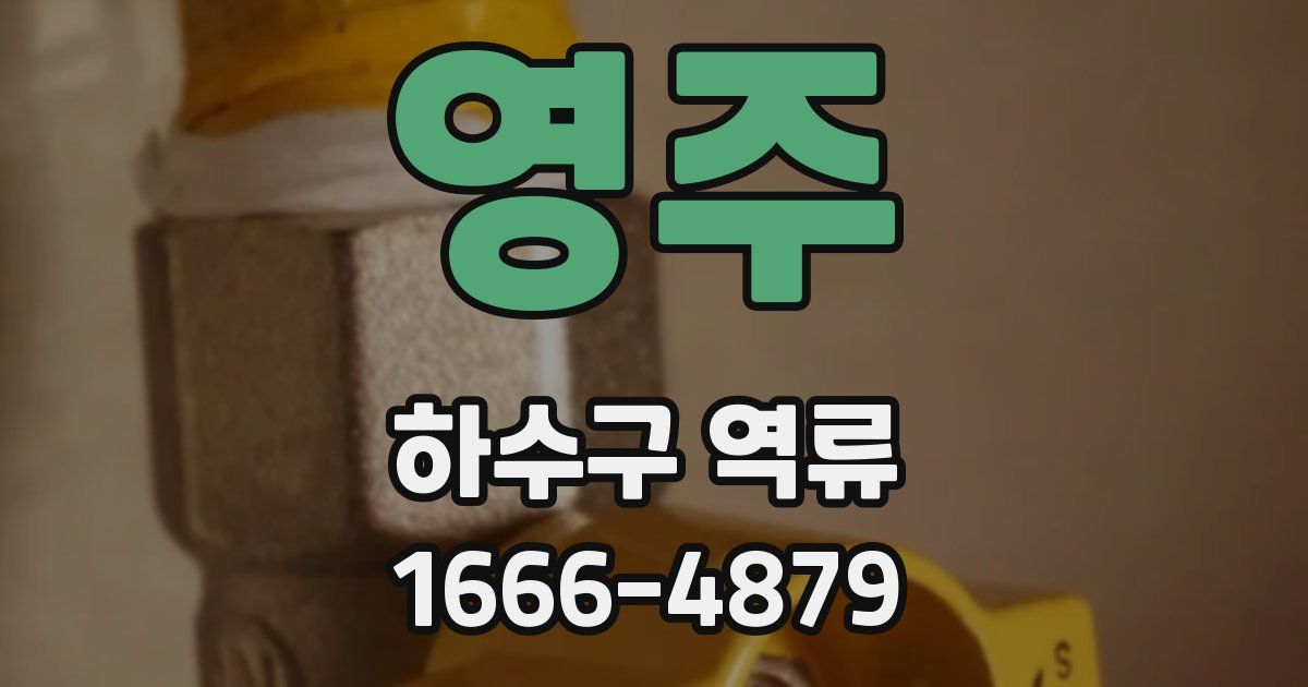 영주 하수구 역류