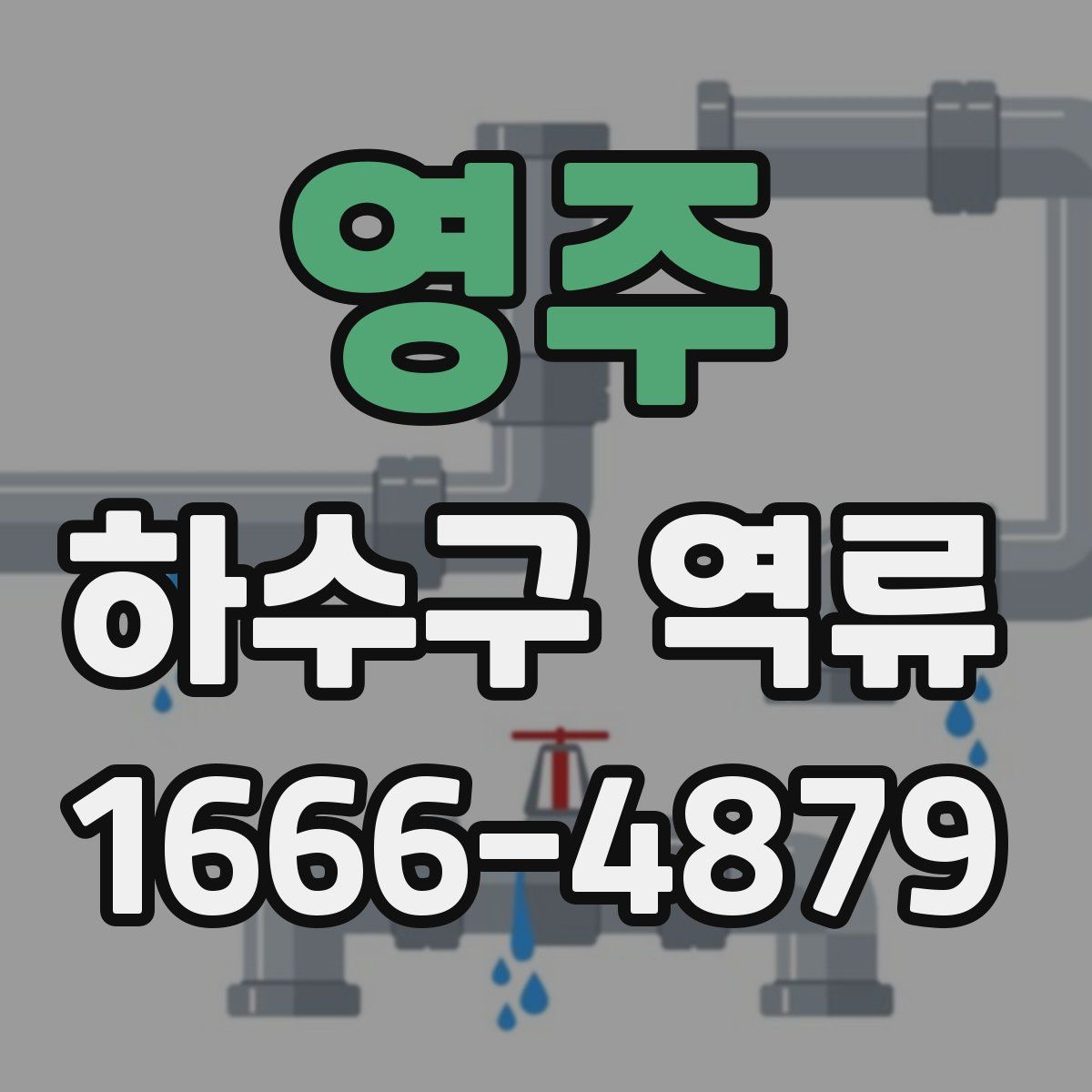 영주 하수구 역류