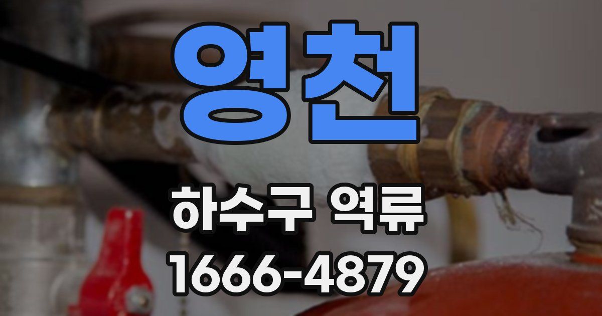 영천 하수구 역류