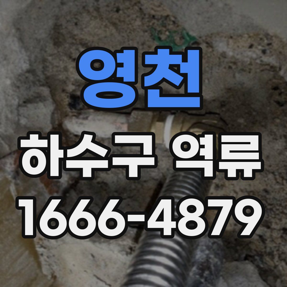 영천 하수구 역류