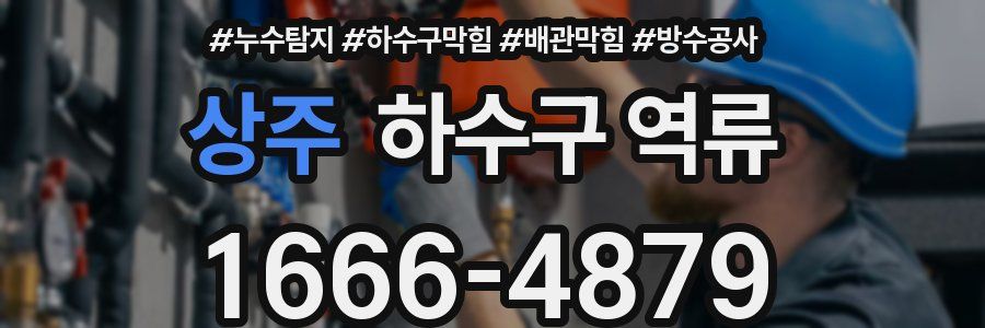 상주 하수구 역류