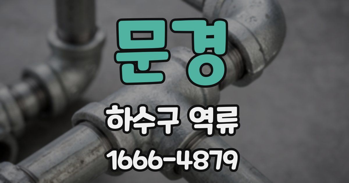 문경 하수구 역류