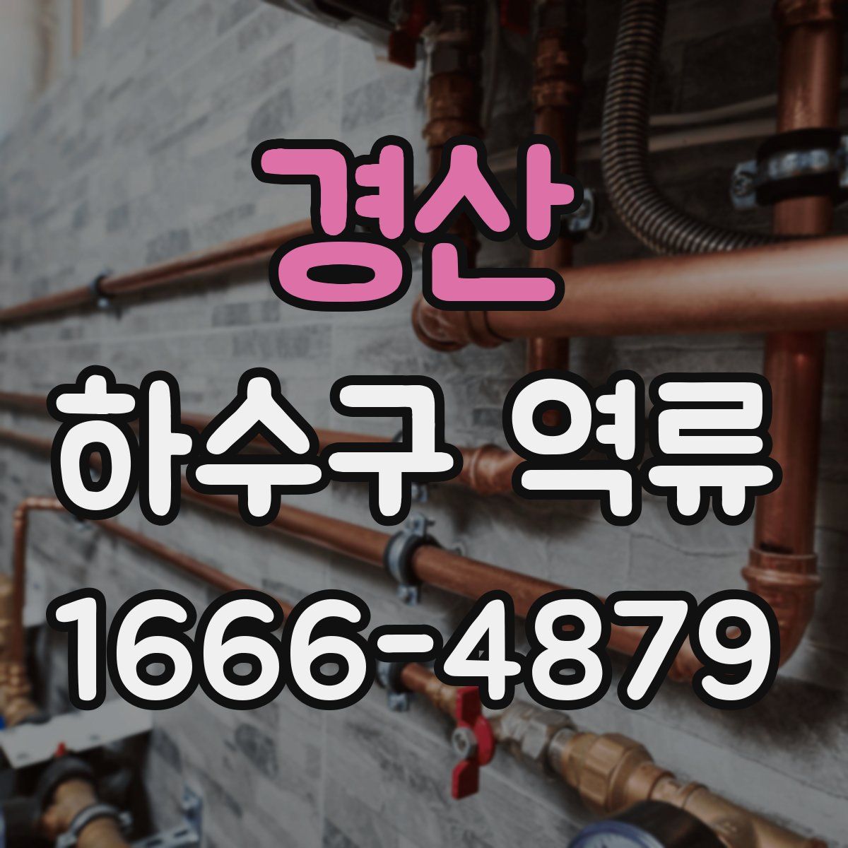 경산 하수구 역류