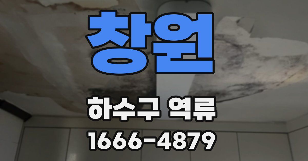 창원 하수구 역류