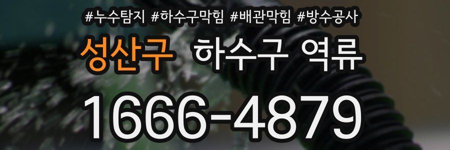 성산구 하수구 역류