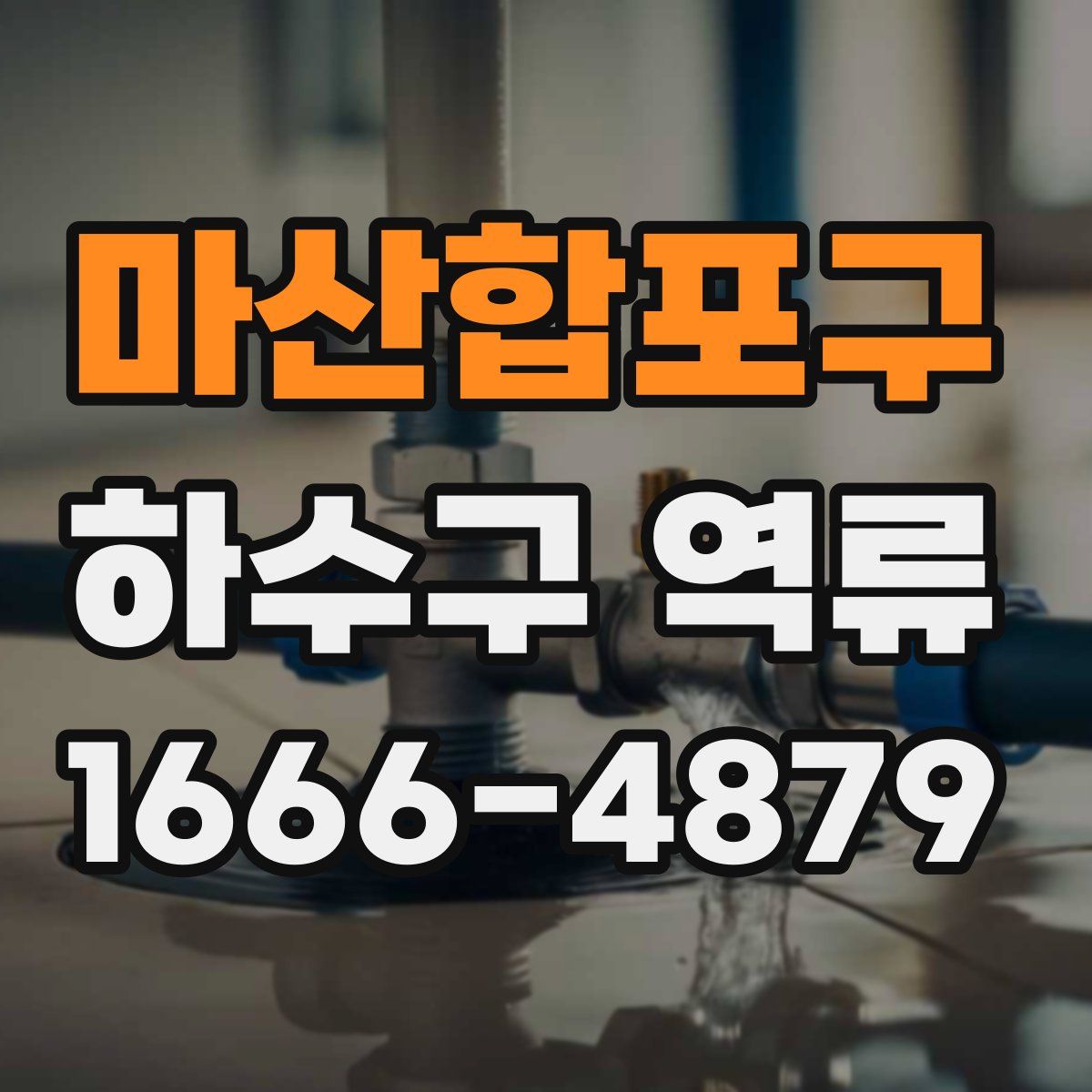 마산합포구 하수구 역류