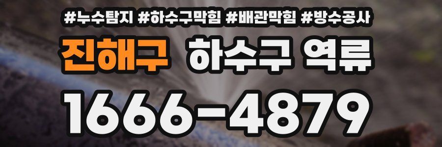 진해구 하수구 역류
