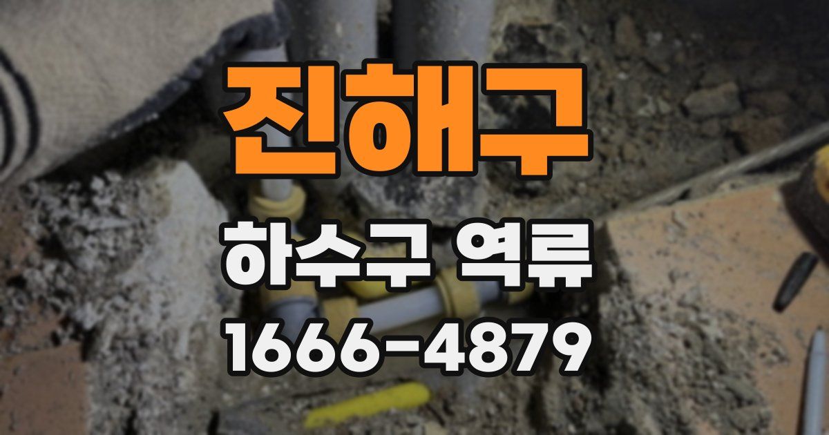 진해구 하수구 역류