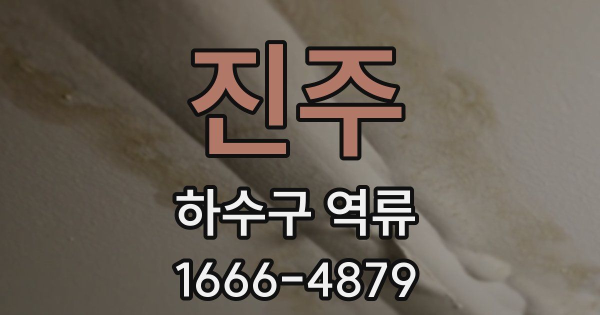 진주 하수구 역류