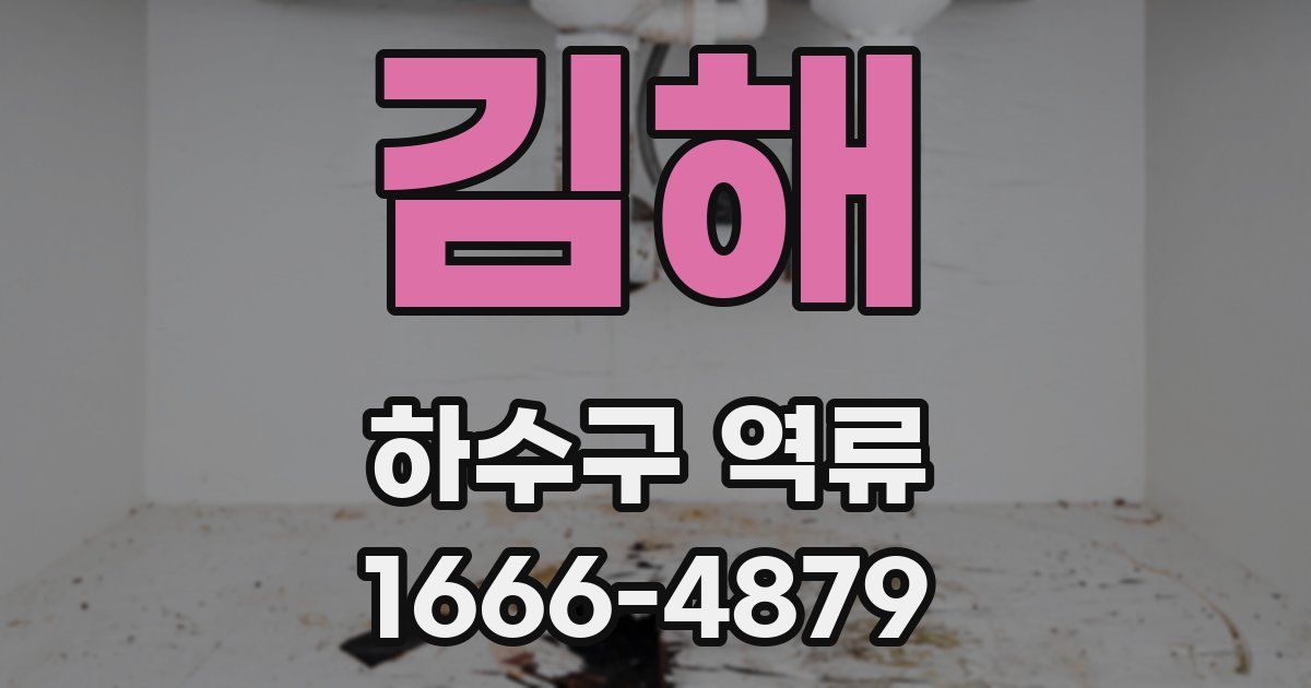 김해 하수구 역류