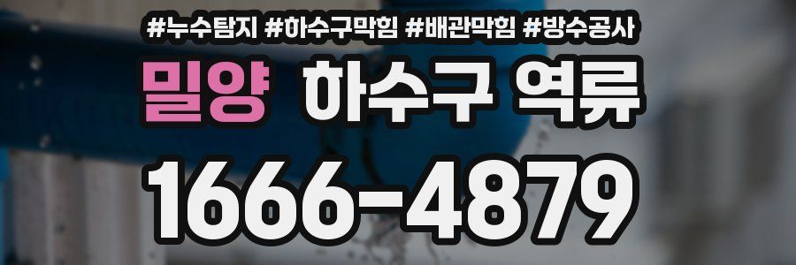 밀양 하수구 역류