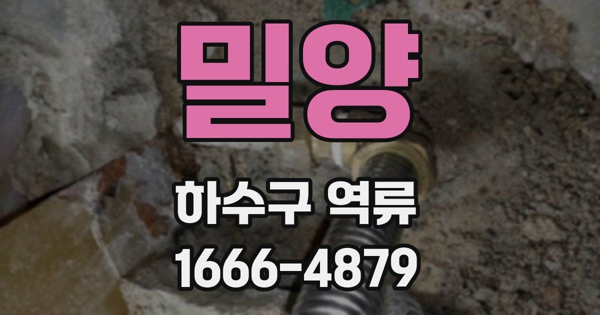 밀양 하수구 역류