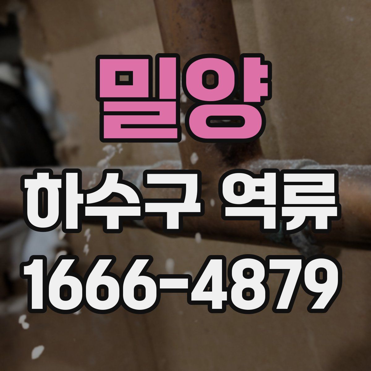 밀양 하수구 역류
