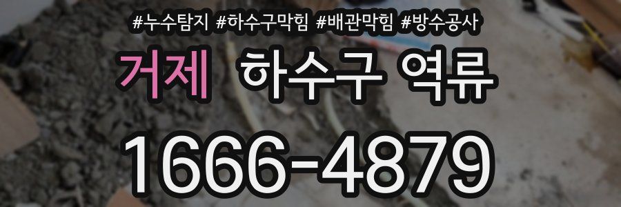 거제 하수구 역류