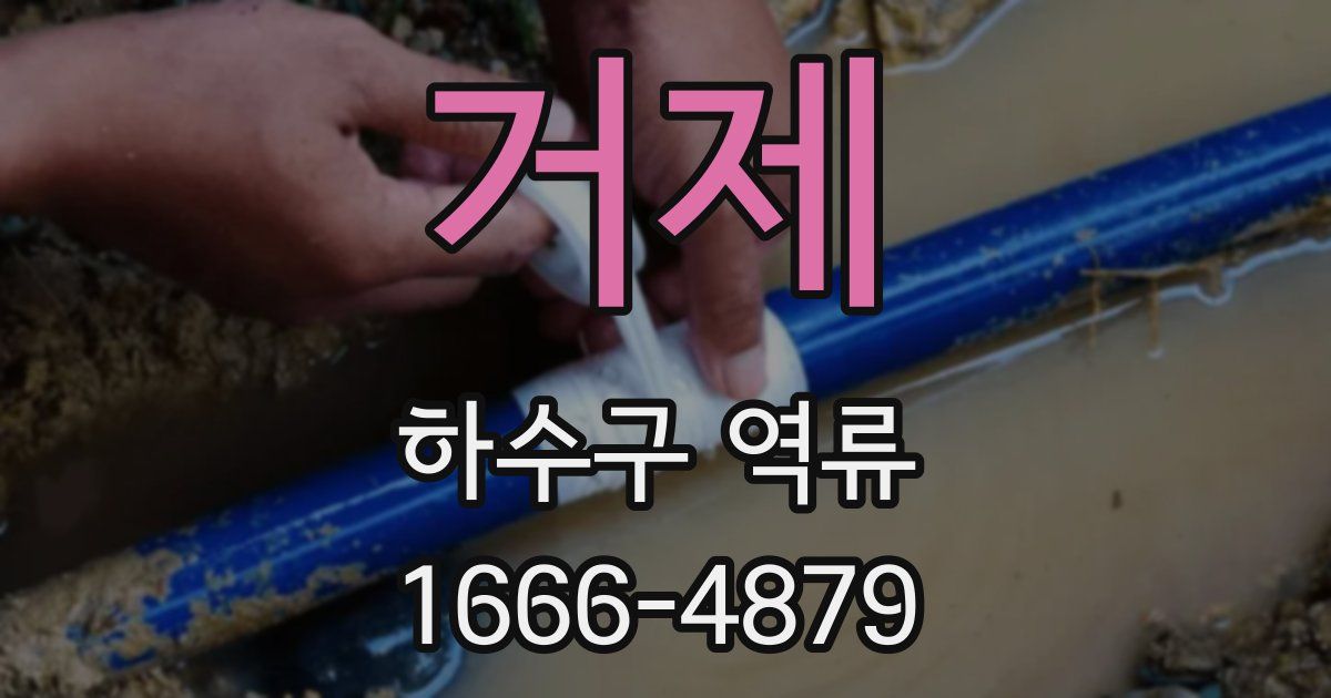 거제 하수구 역류
