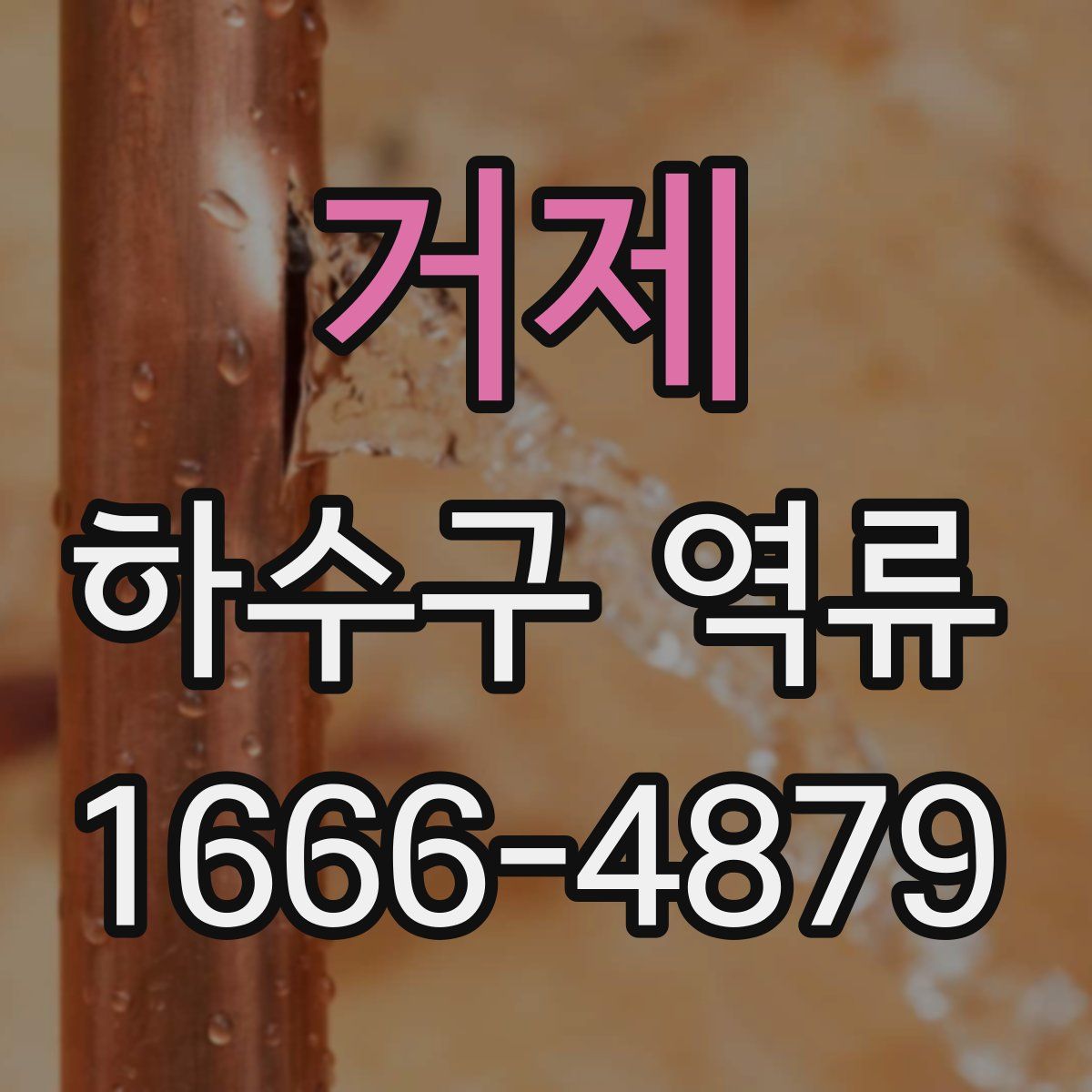 거제 하수구 역류