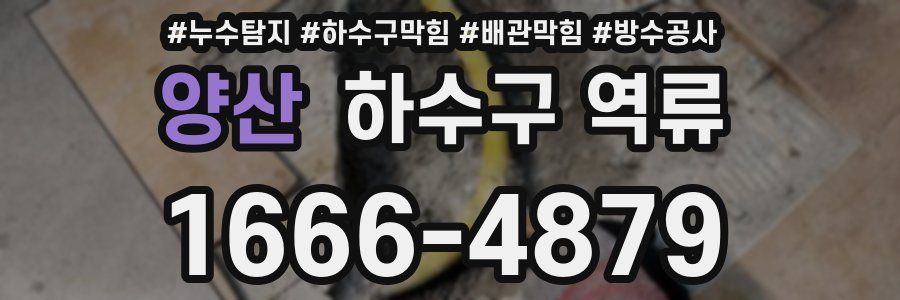양산 하수구 역류