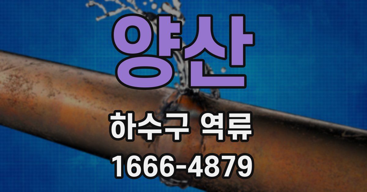 양산 하수구 역류