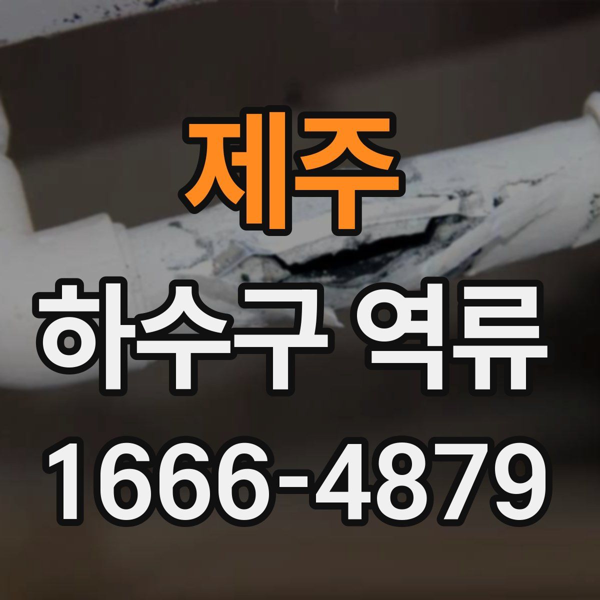 제주 하수구 역류