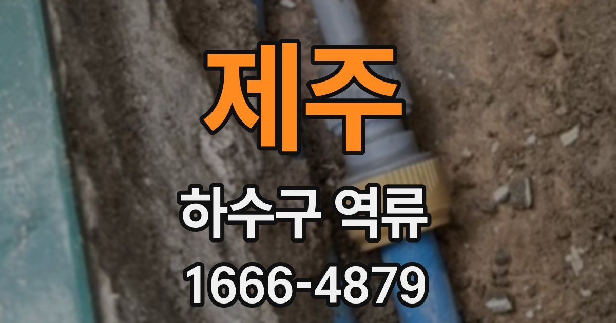 제주 하수구 역류