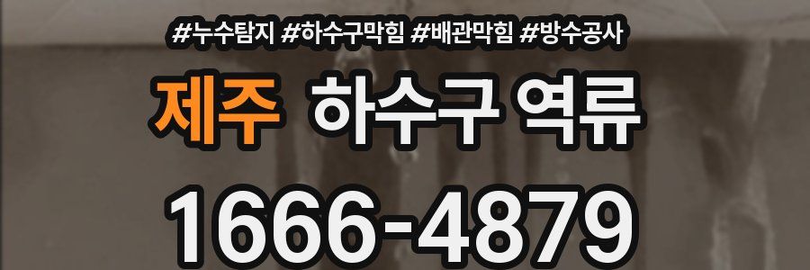 제주 하수구 역류