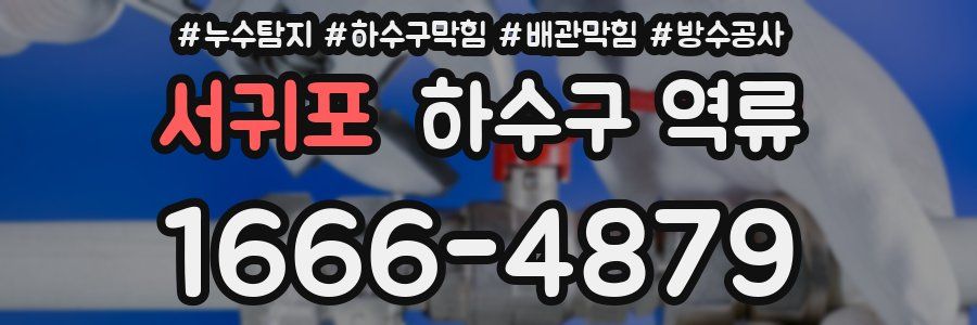 서귀포 하수구 역류