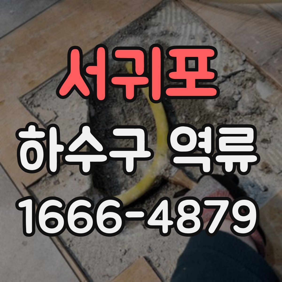 서귀포 하수구 역류
