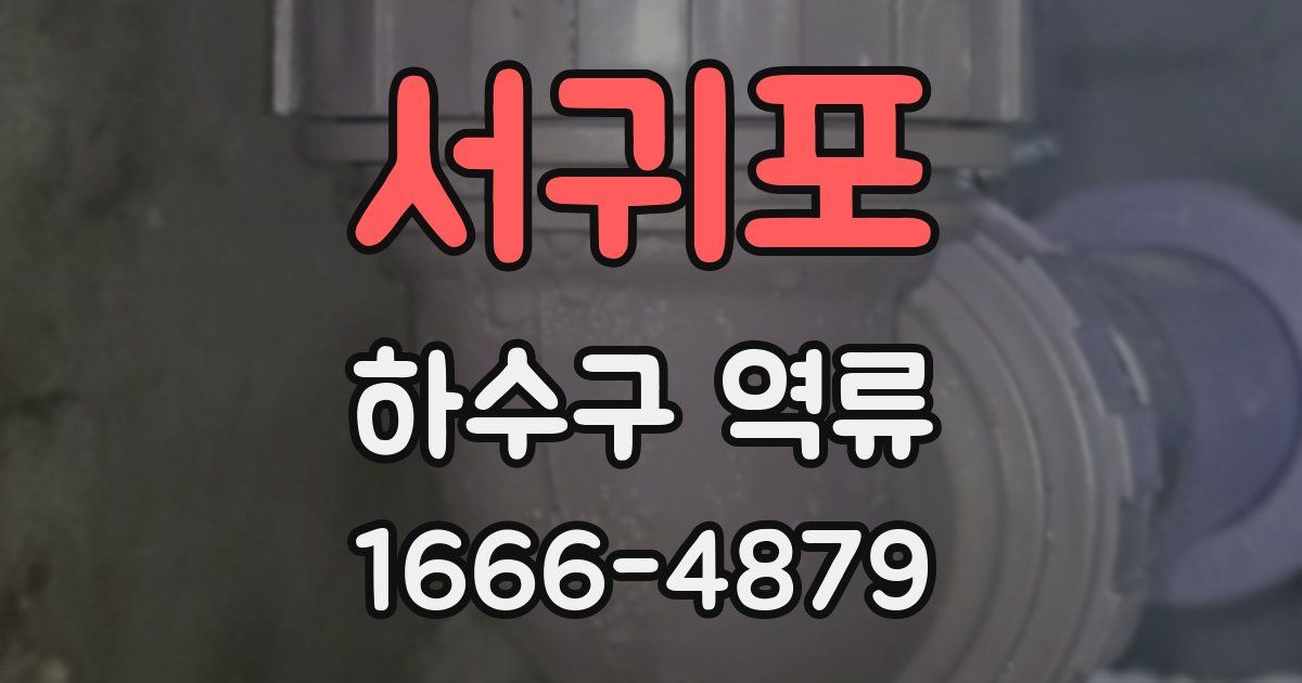 서귀포 하수구 역류
