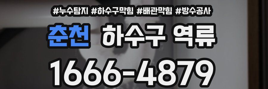 춘천 하수구 역류