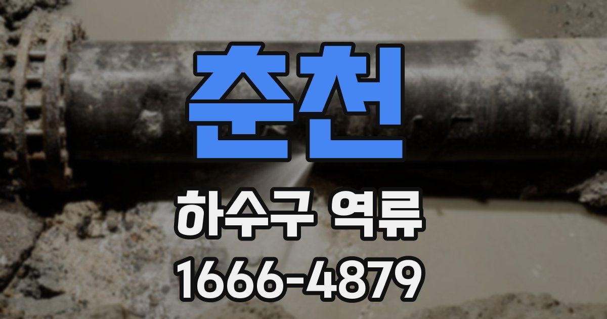 춘천 하수구 역류