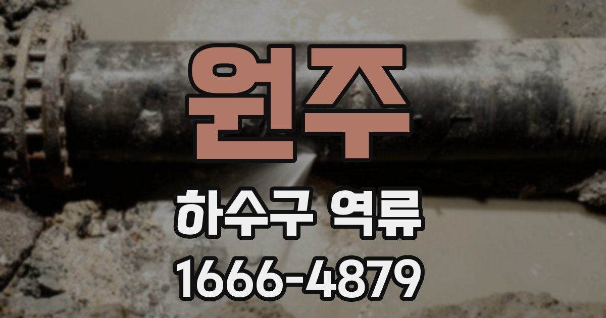 원주 하수구 역류