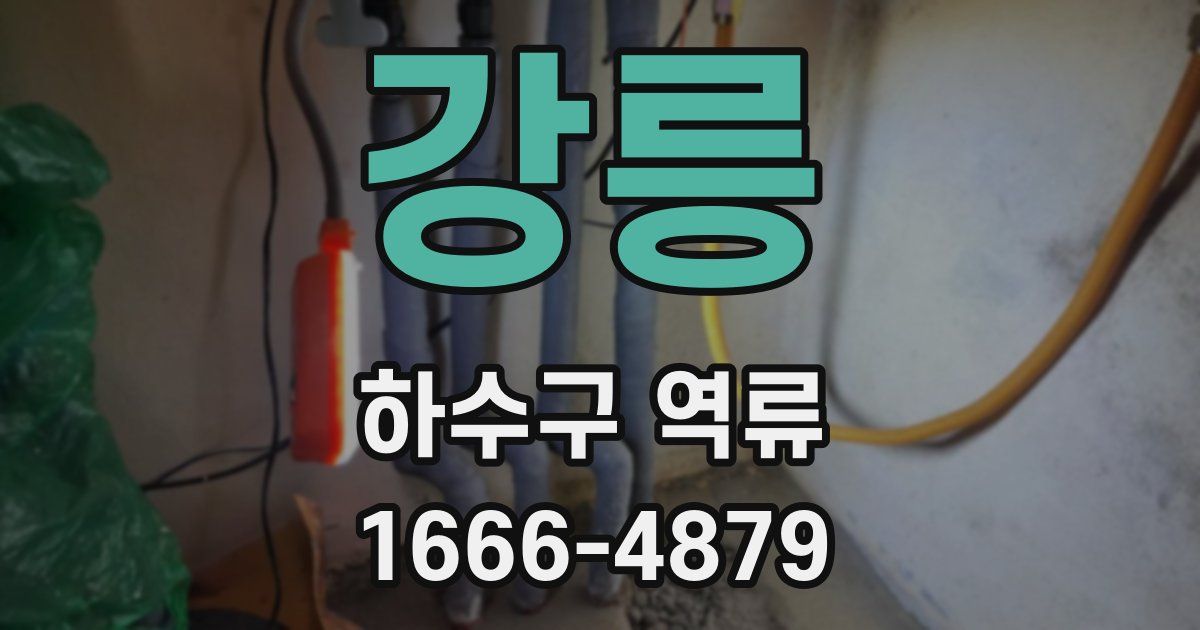 강릉 하수구 역류