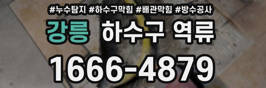 강릉 하수구 역류