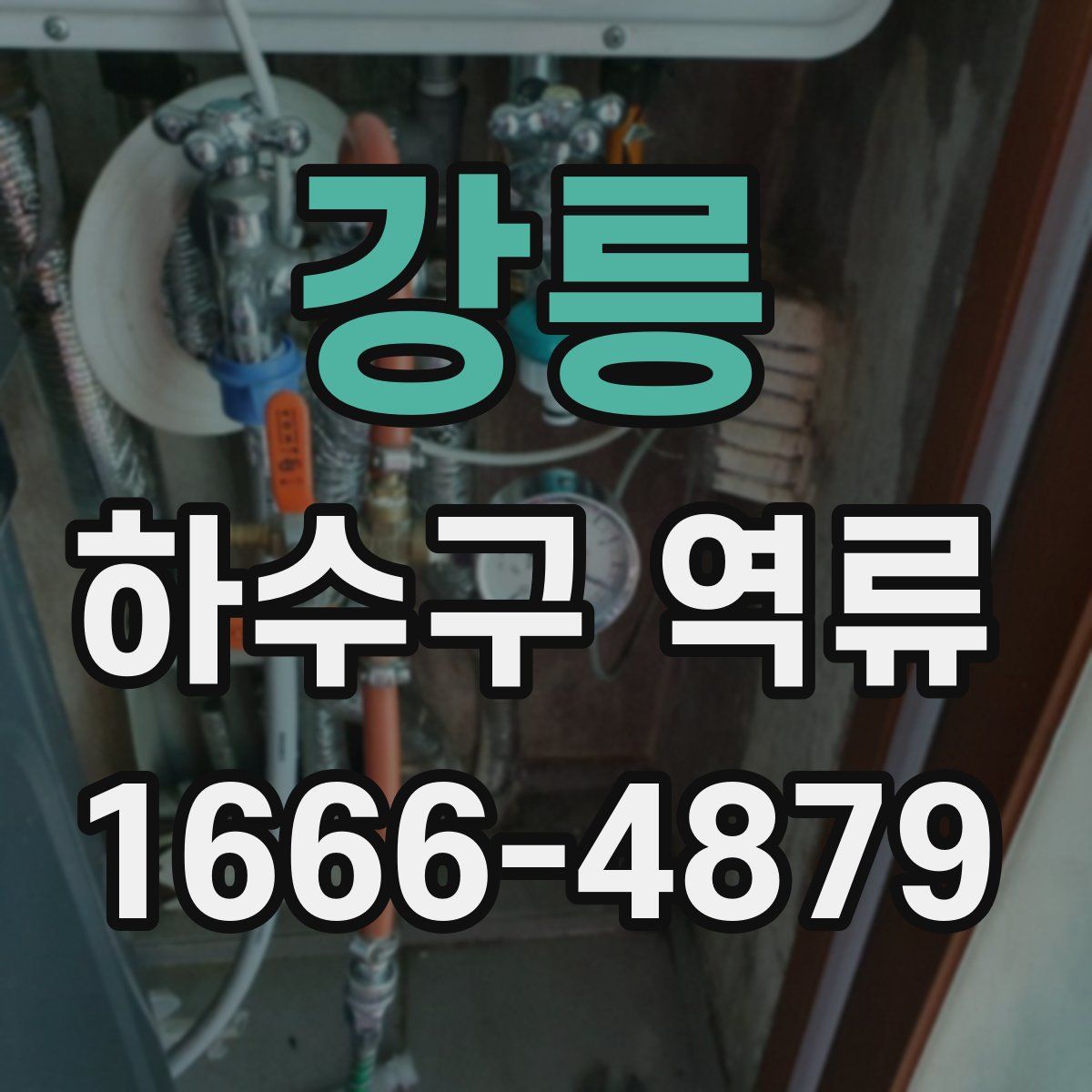 강릉 하수구 역류