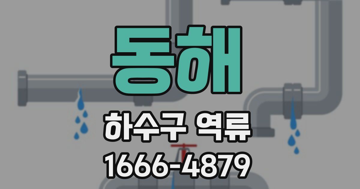 동해 하수구 역류