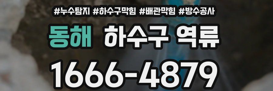 동해 하수구 역류