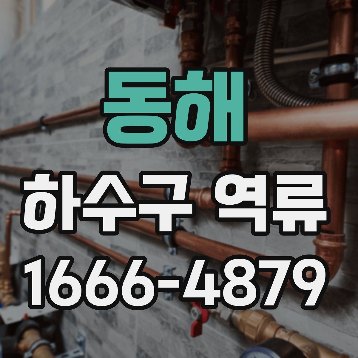 동해 하수구 역류