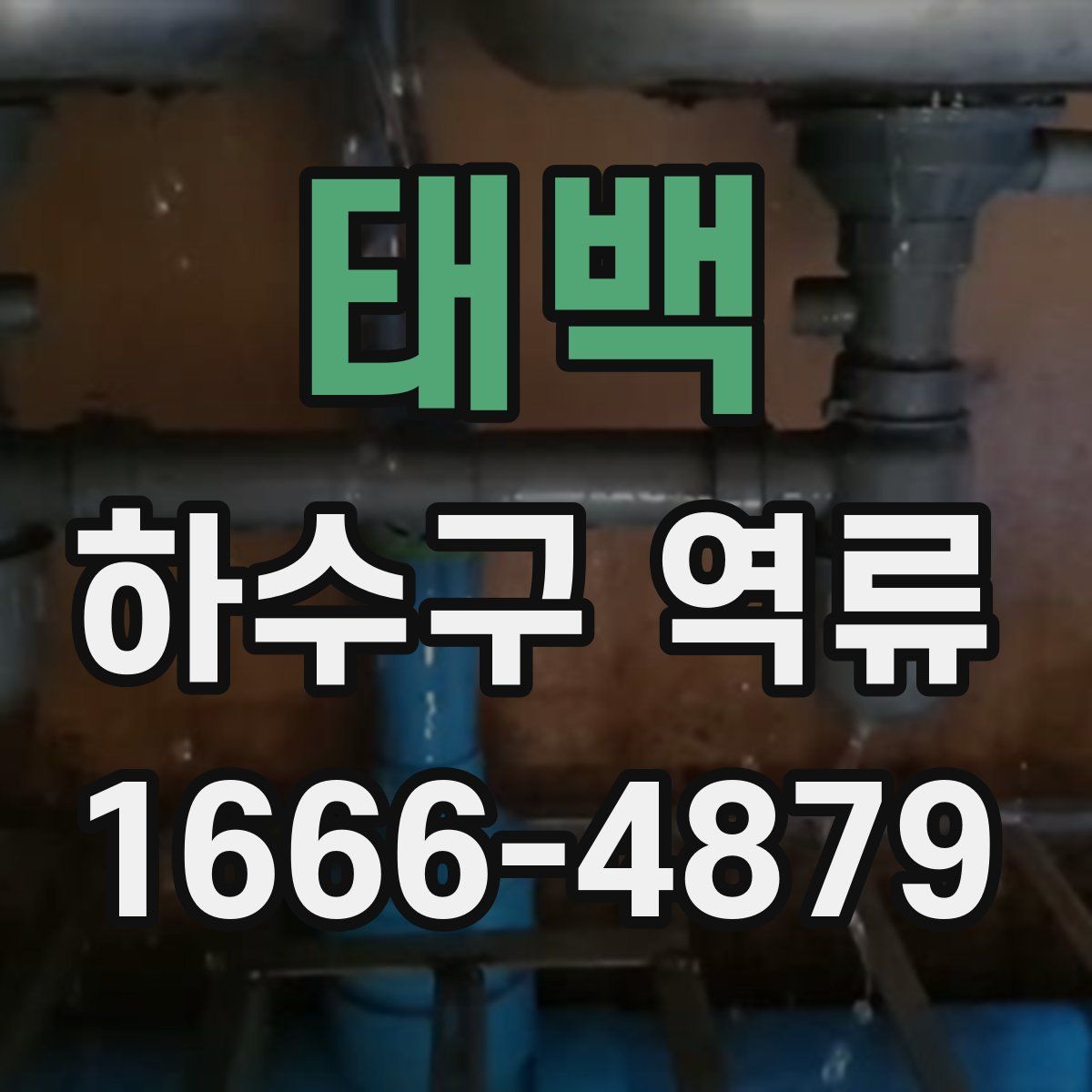 태백 하수구 역류