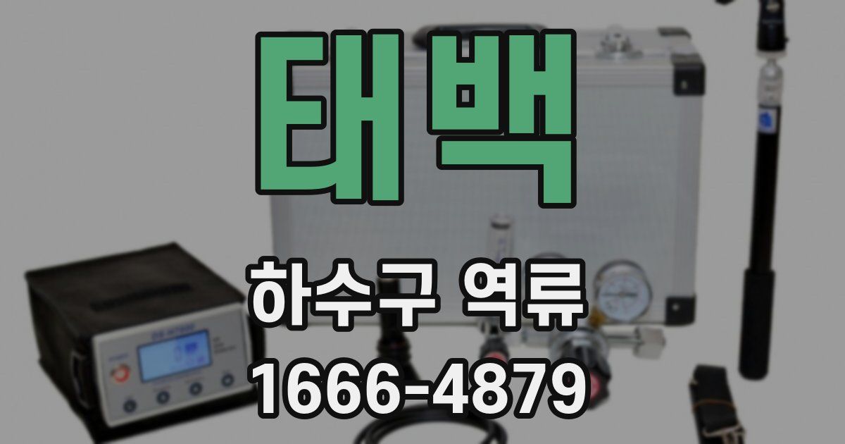 태백 하수구 역류