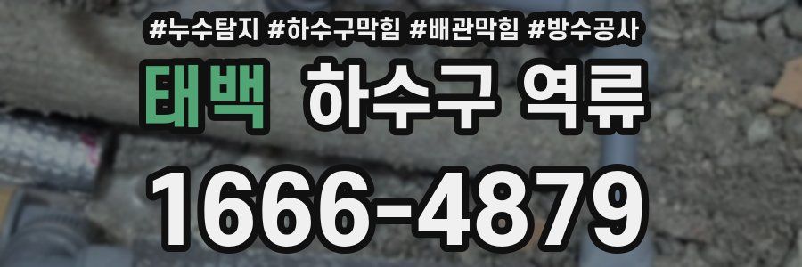 태백 하수구 역류