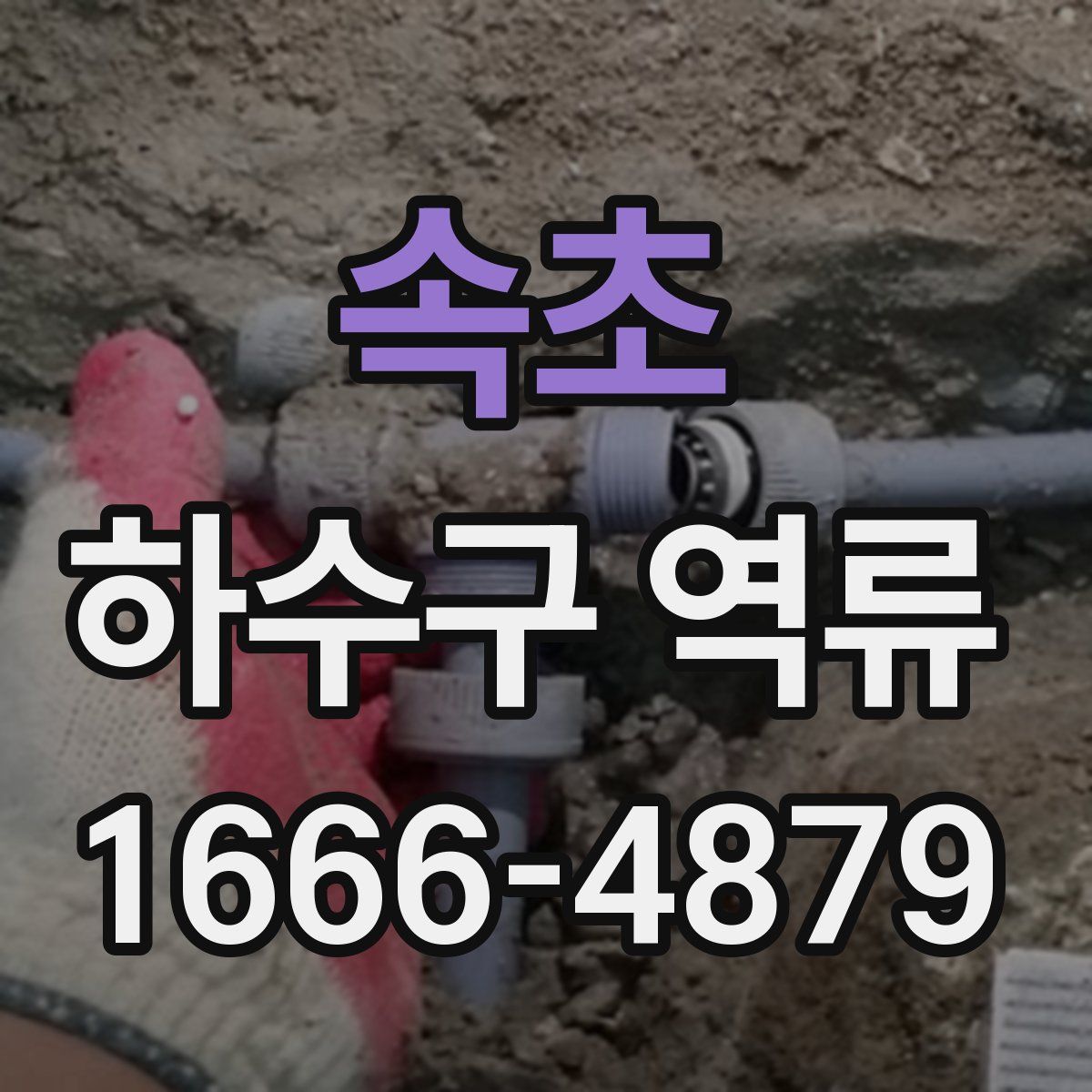속초 하수구 역류
