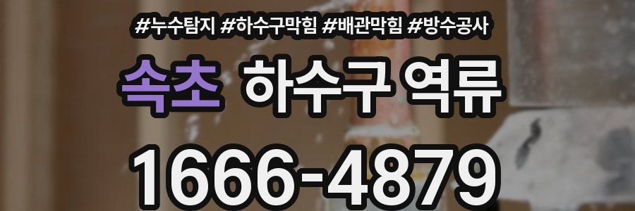 속초 하수구 역류