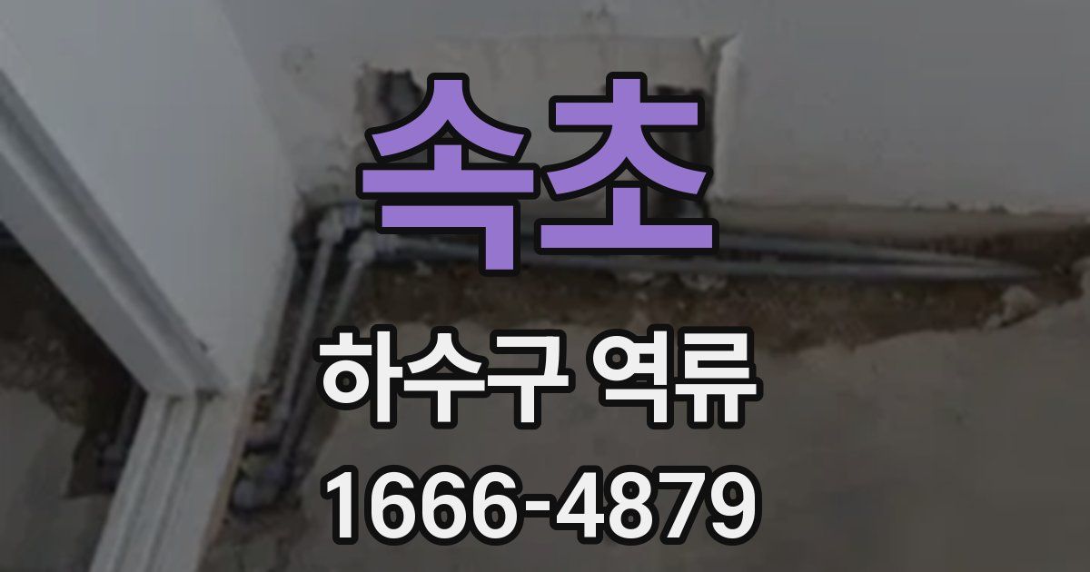 속초 하수구 역류