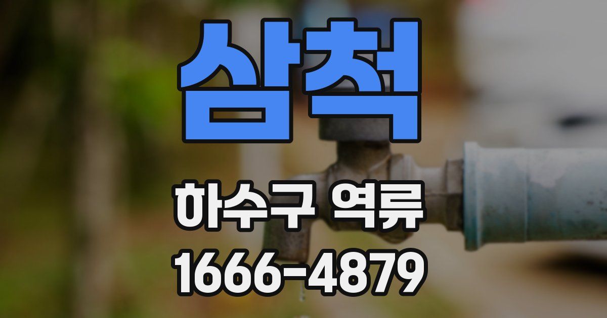 삼척 하수구 역류