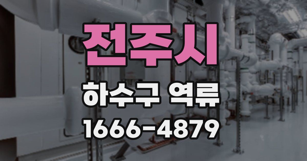 전주시 하수구 역류