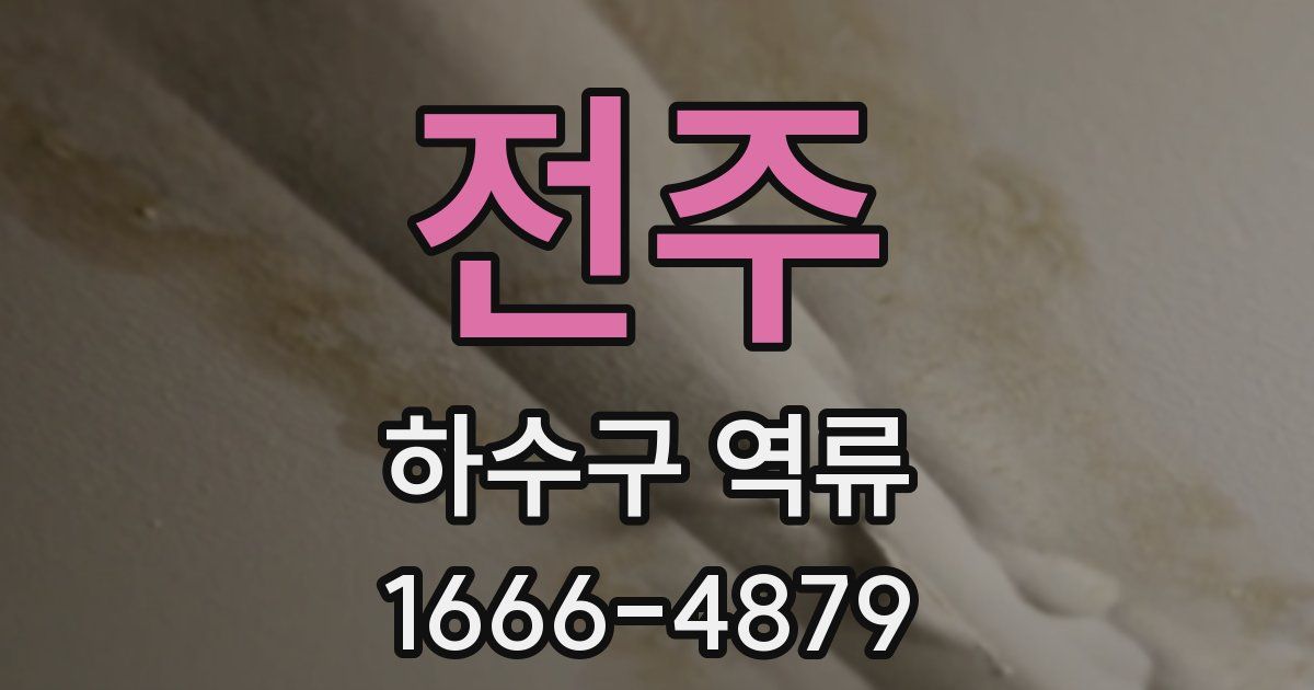 전주 하수구 역류