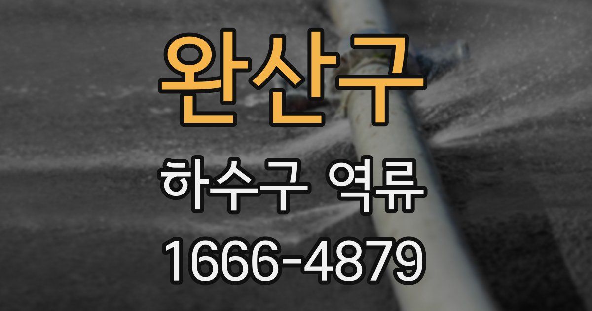 완산구 하수구 역류
