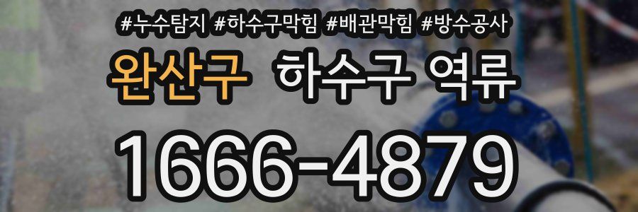 완산구 하수구 역류