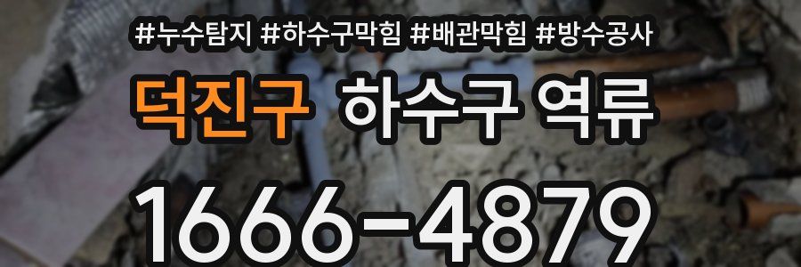 덕진구 하수구 역류