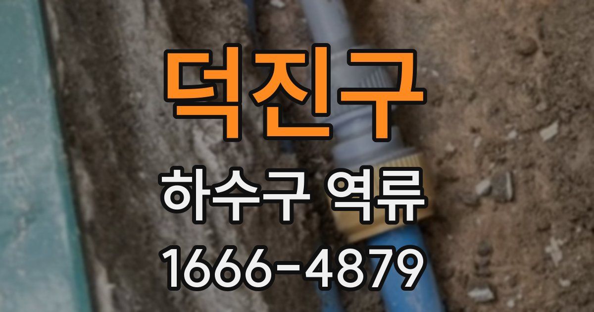 덕진구 하수구 역류